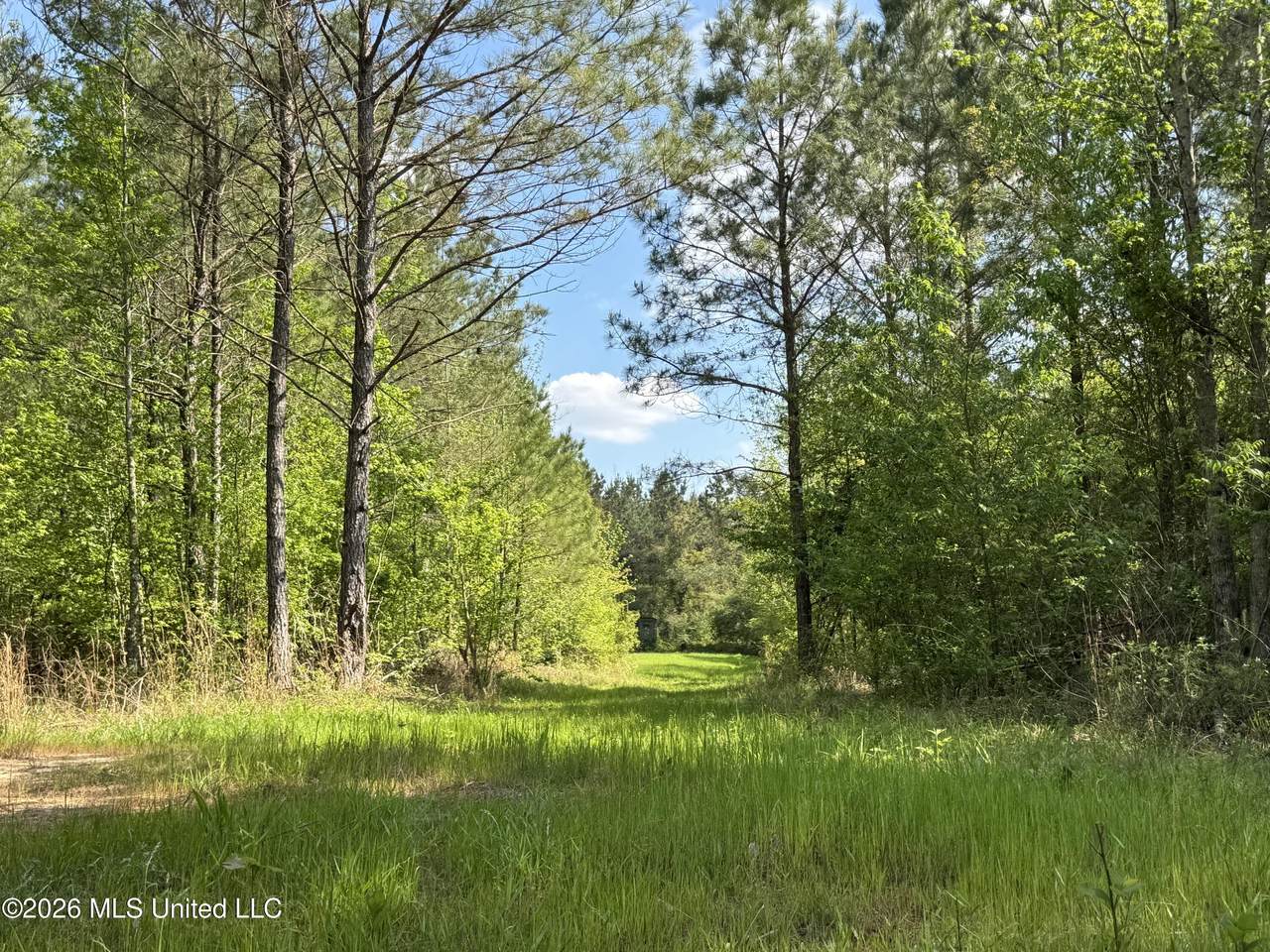 1479 Truesdale Road - Photo 1