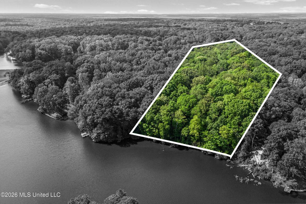 Lot 119 Dogwood Cove - Photo 1