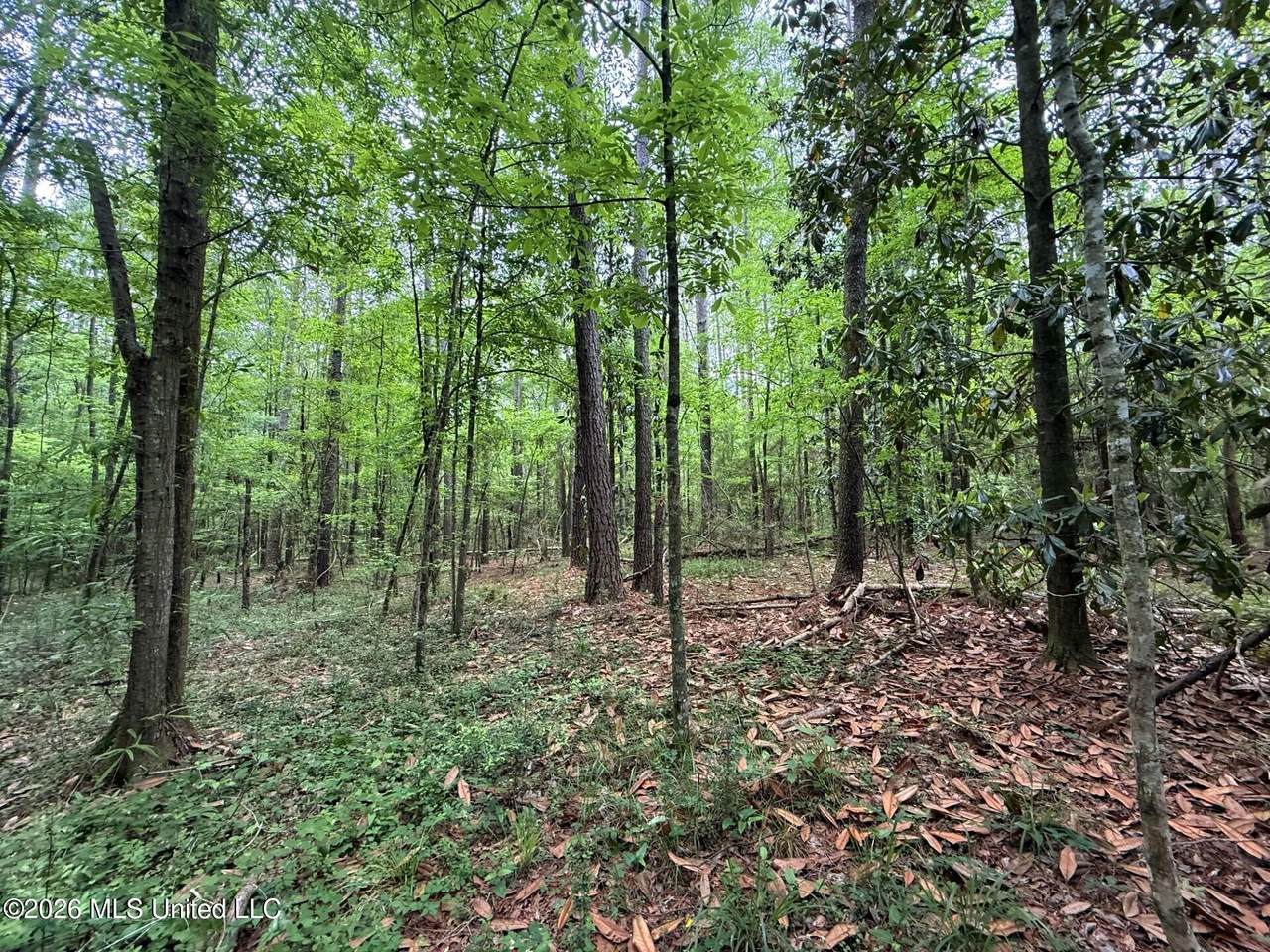 https://bt-photos.global.ssl.fastly.net/united/1280_boomver_1_4146175-2.jpg