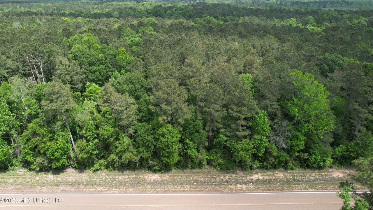 2536 Us-98 - Photo 1