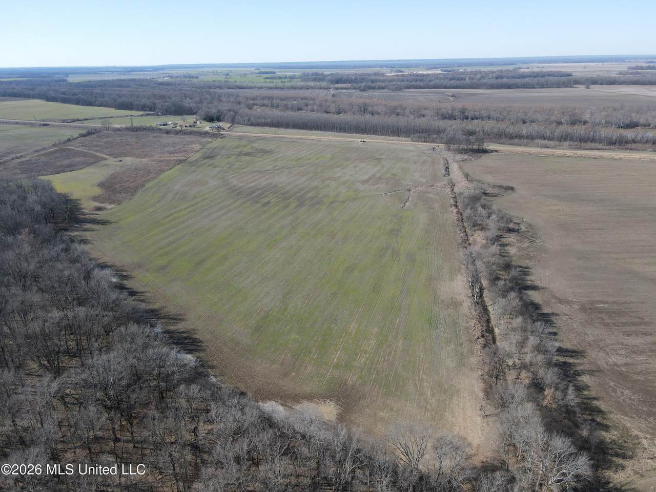  Highway 61 - Photo 1