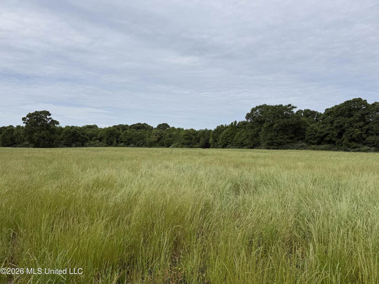 813 Holmesville Road - Photo 1