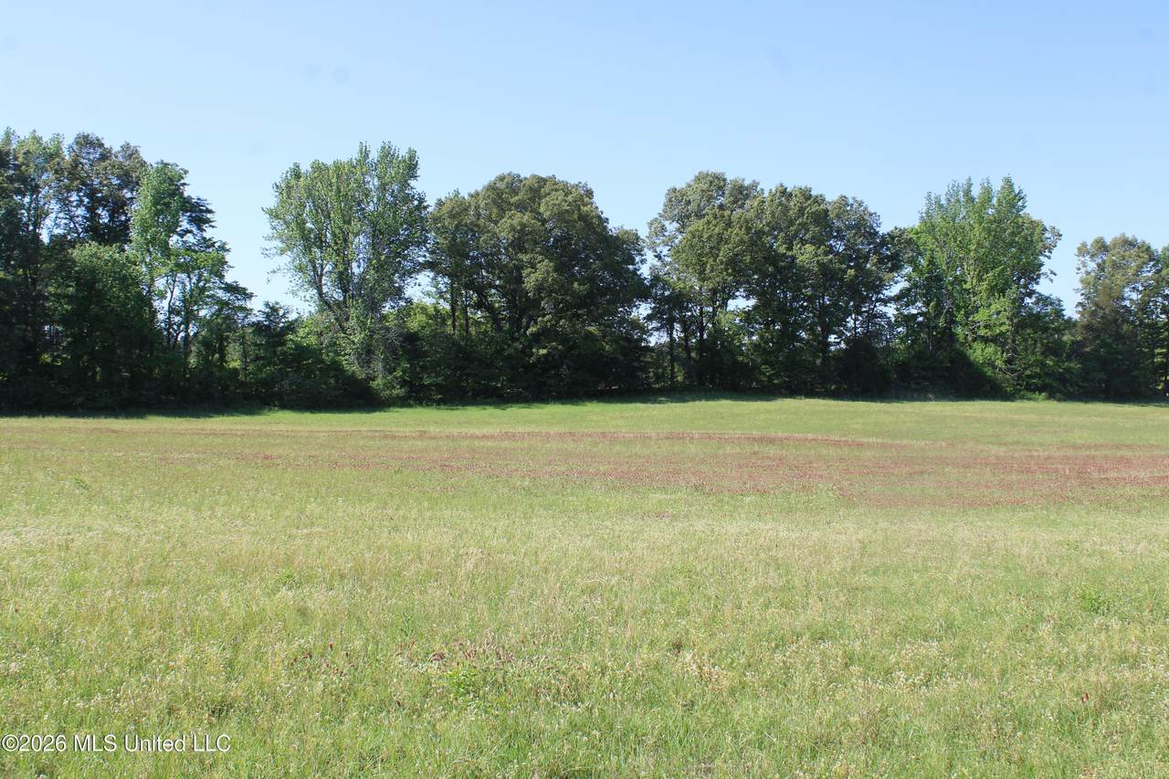 7300 Dean Road - Photo 1