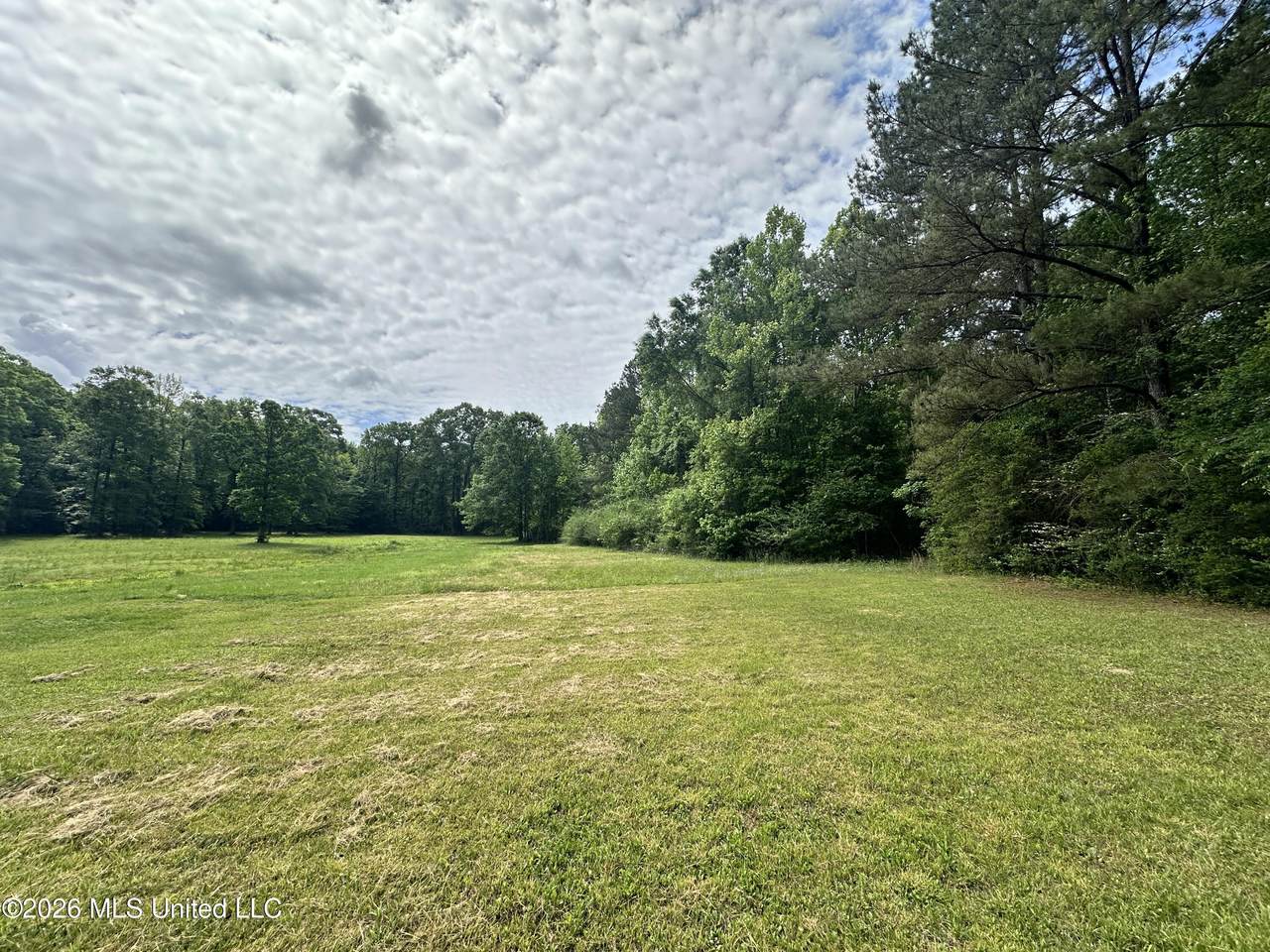  Mccomb Holmesville Road - Photo 1