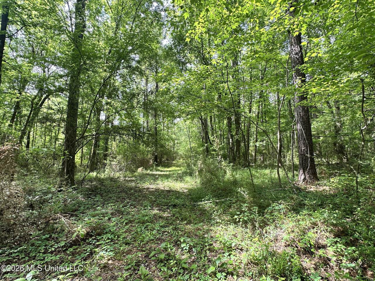 https://bt-photos.global.ssl.fastly.net/united/1280_boomver_1_4147221-2.jpg