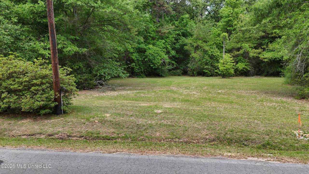  Old Mobile Highway - Photo 1
