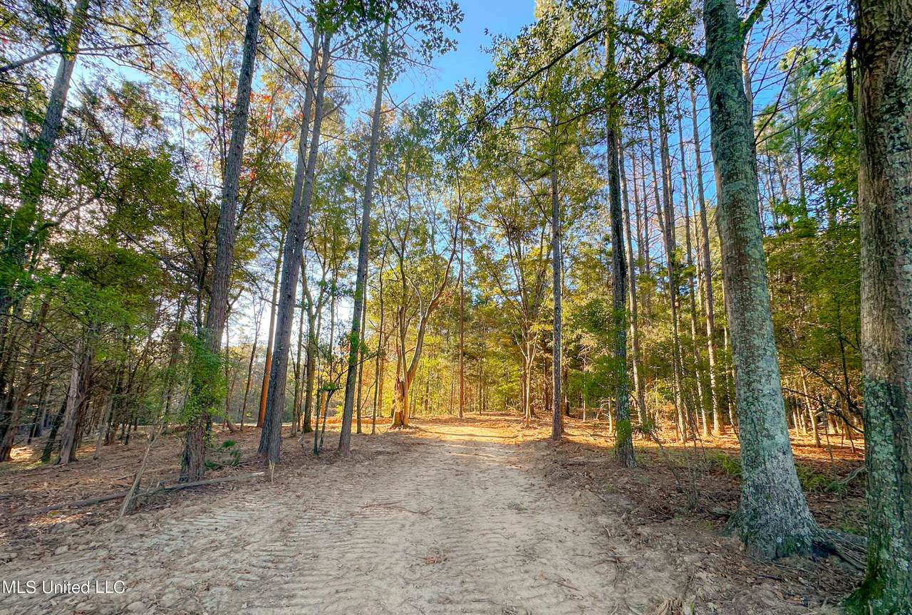  Mount Leopard Road - Photo 1