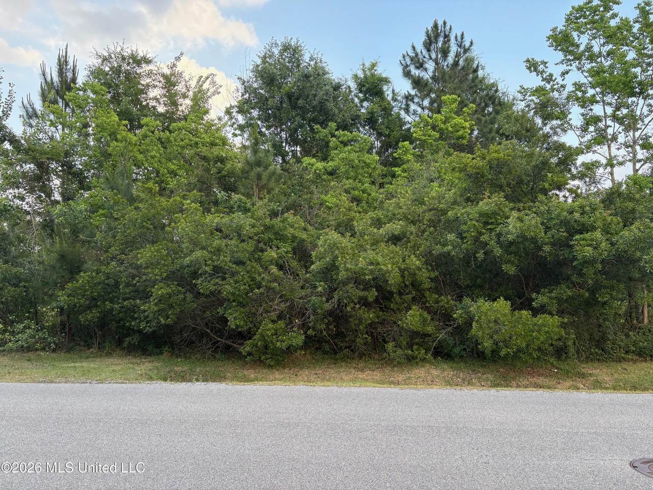 116 Engman Avenue - Photo 1