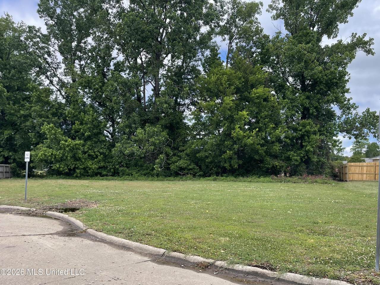  Patricia Drive - Photo 1