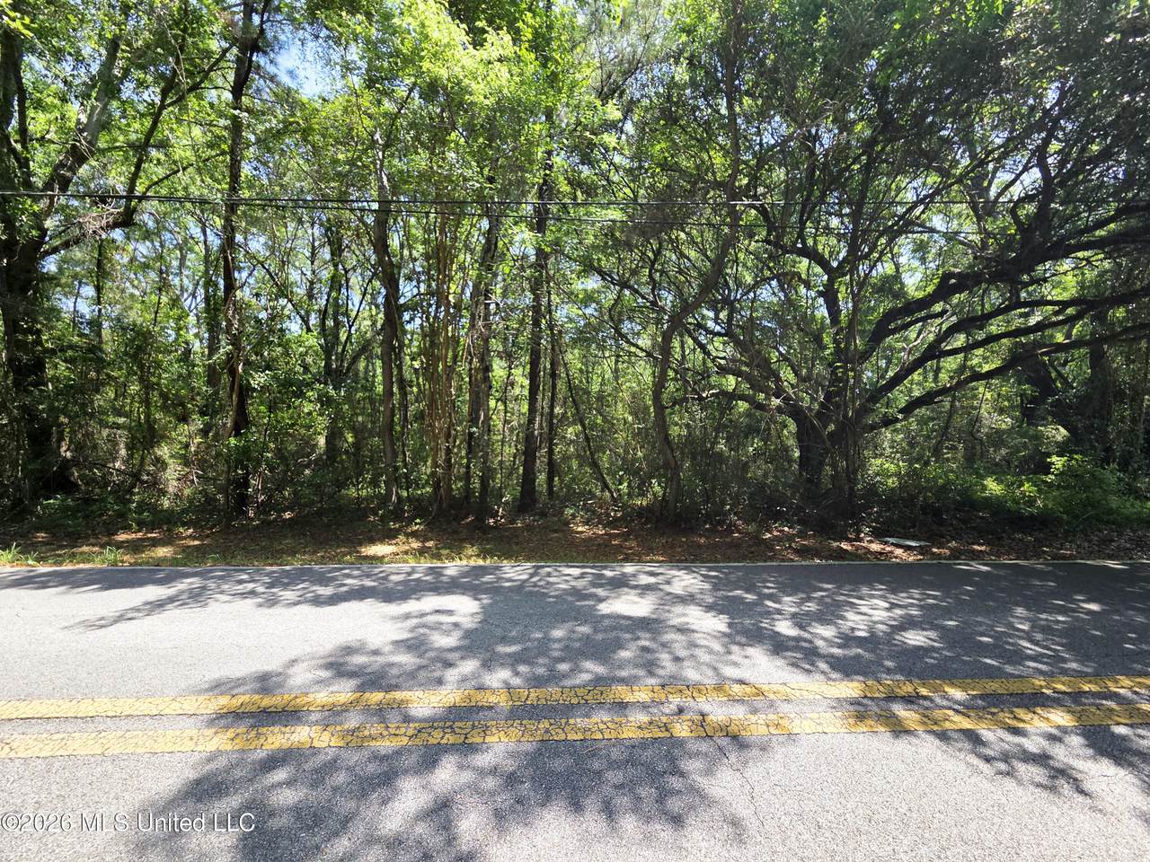  Old Spanish Trail - Photo 1