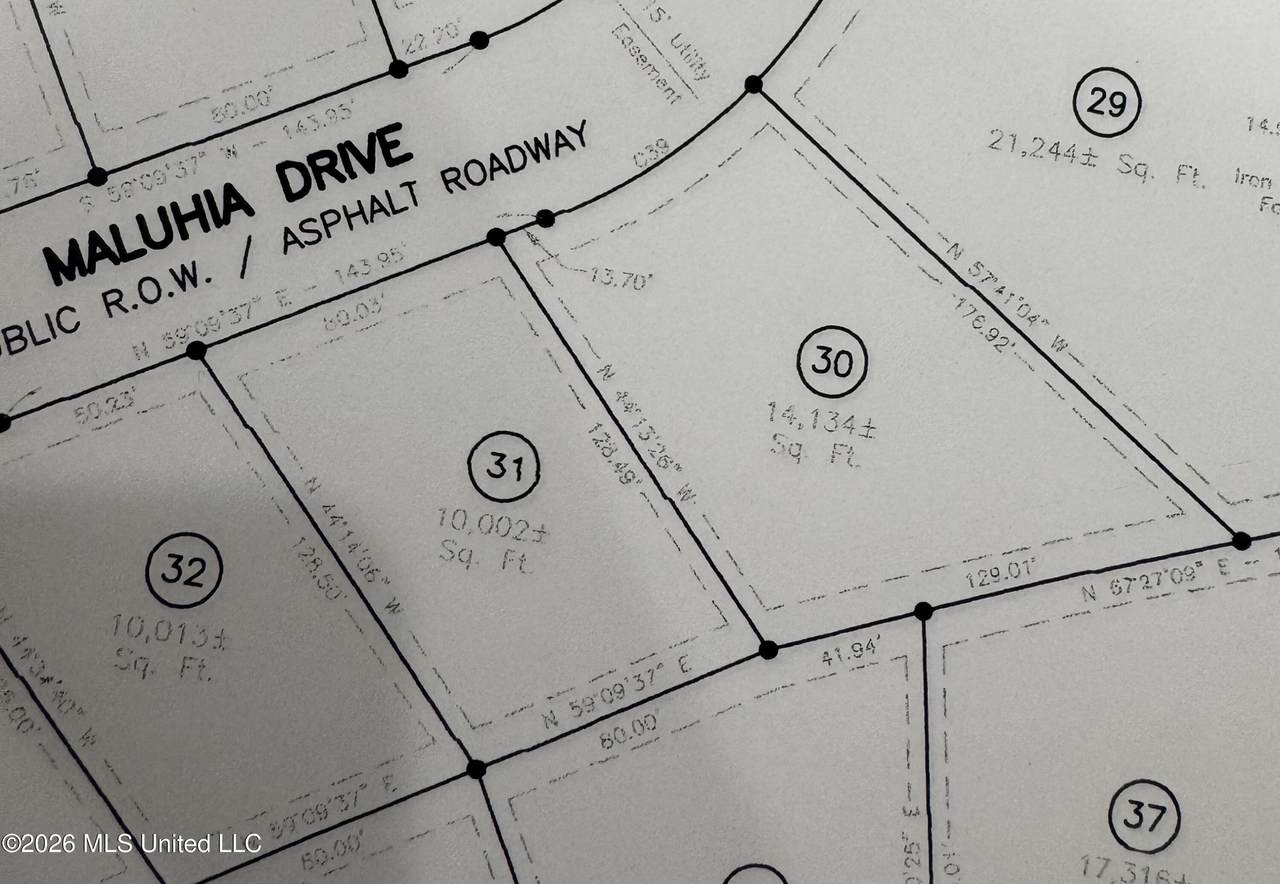 Lot 30 Maluhia Drive - Photo 1