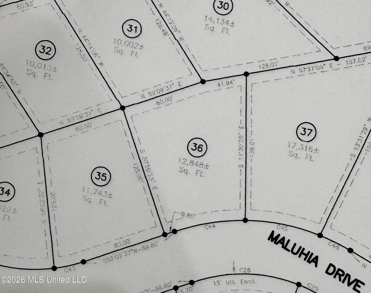 Lot 36 Maluhia Drive - Photo 1