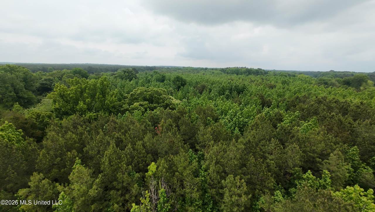 6936 Hillsboro-Ludlow Road - Photo 1