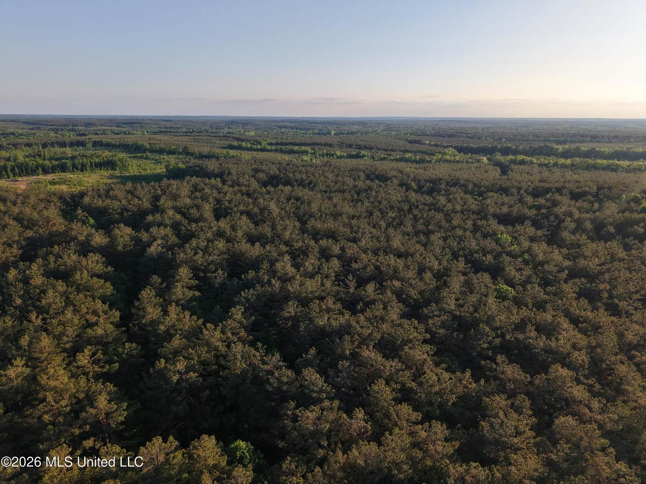  Stewart Weir Road - Photo 1