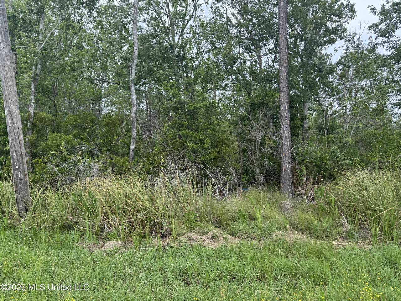 Nsn Lot 24 Piute Drive - Photo 1