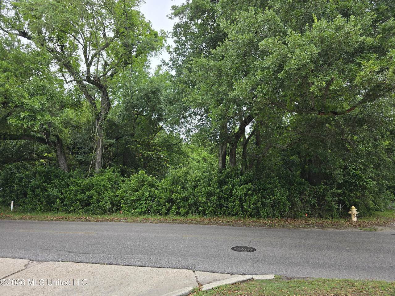 2015 2nd Street - Photo 1