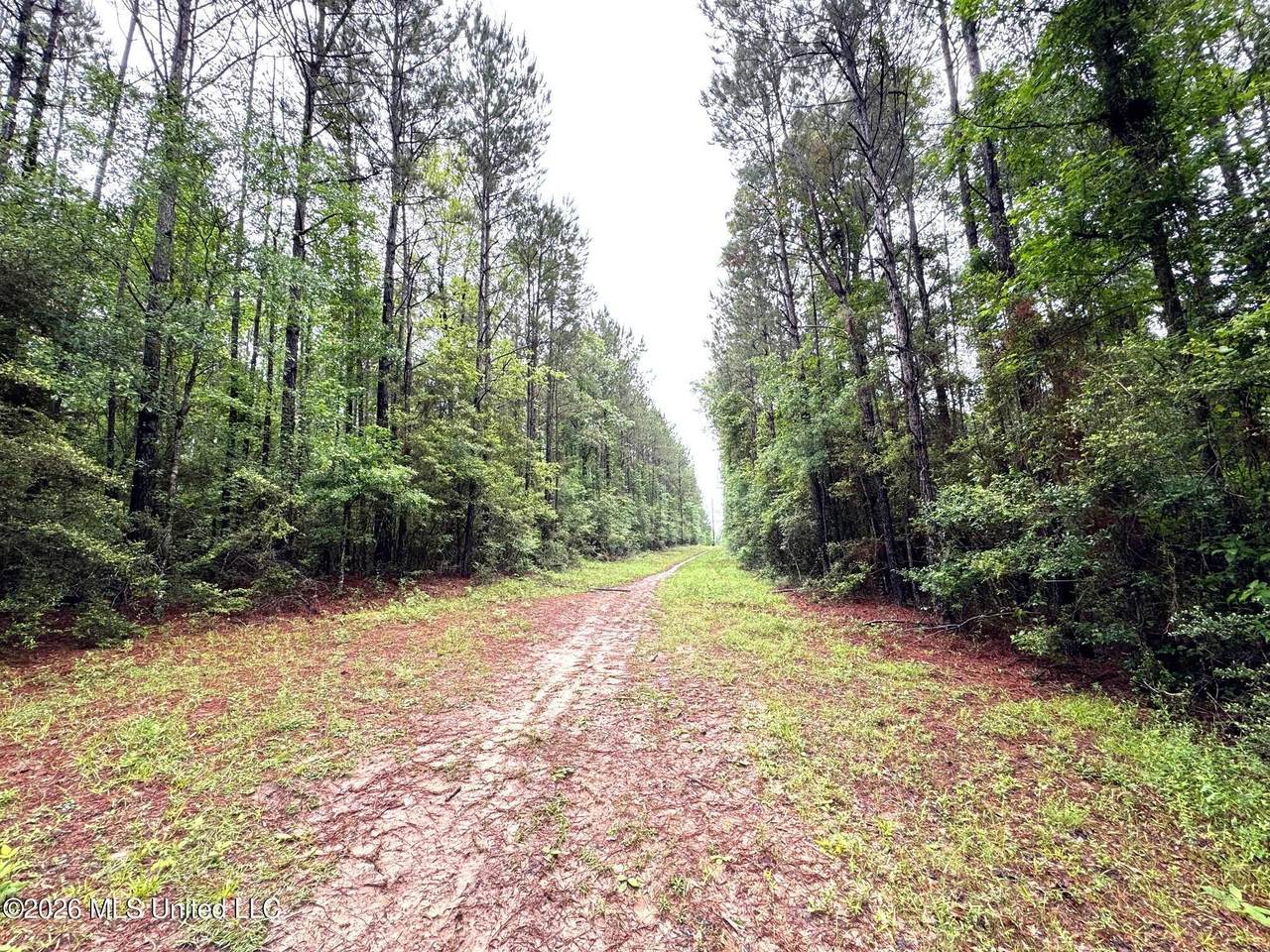 000 Emerald State Line Road - Photo 1