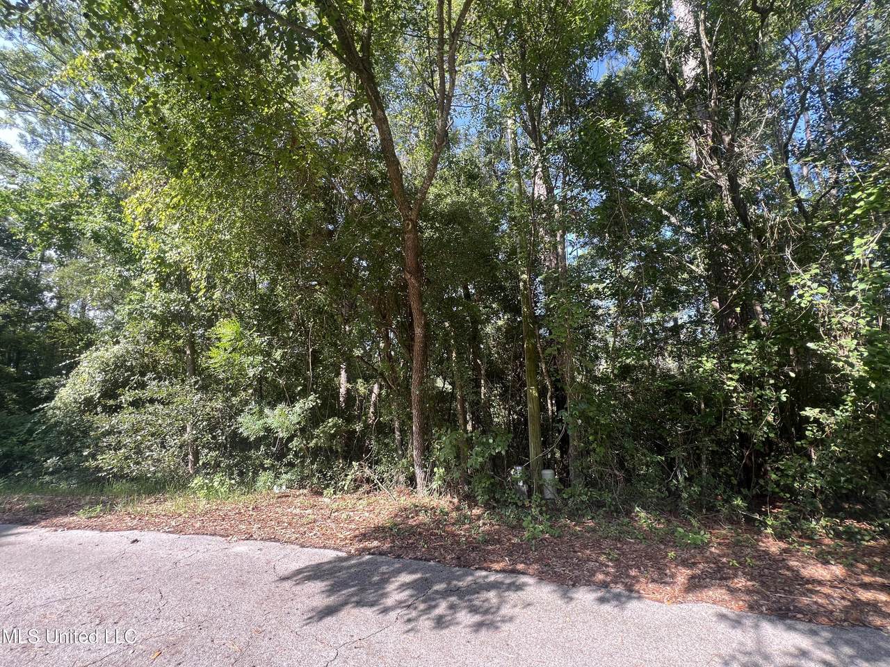  Creek Drive - Photo 1