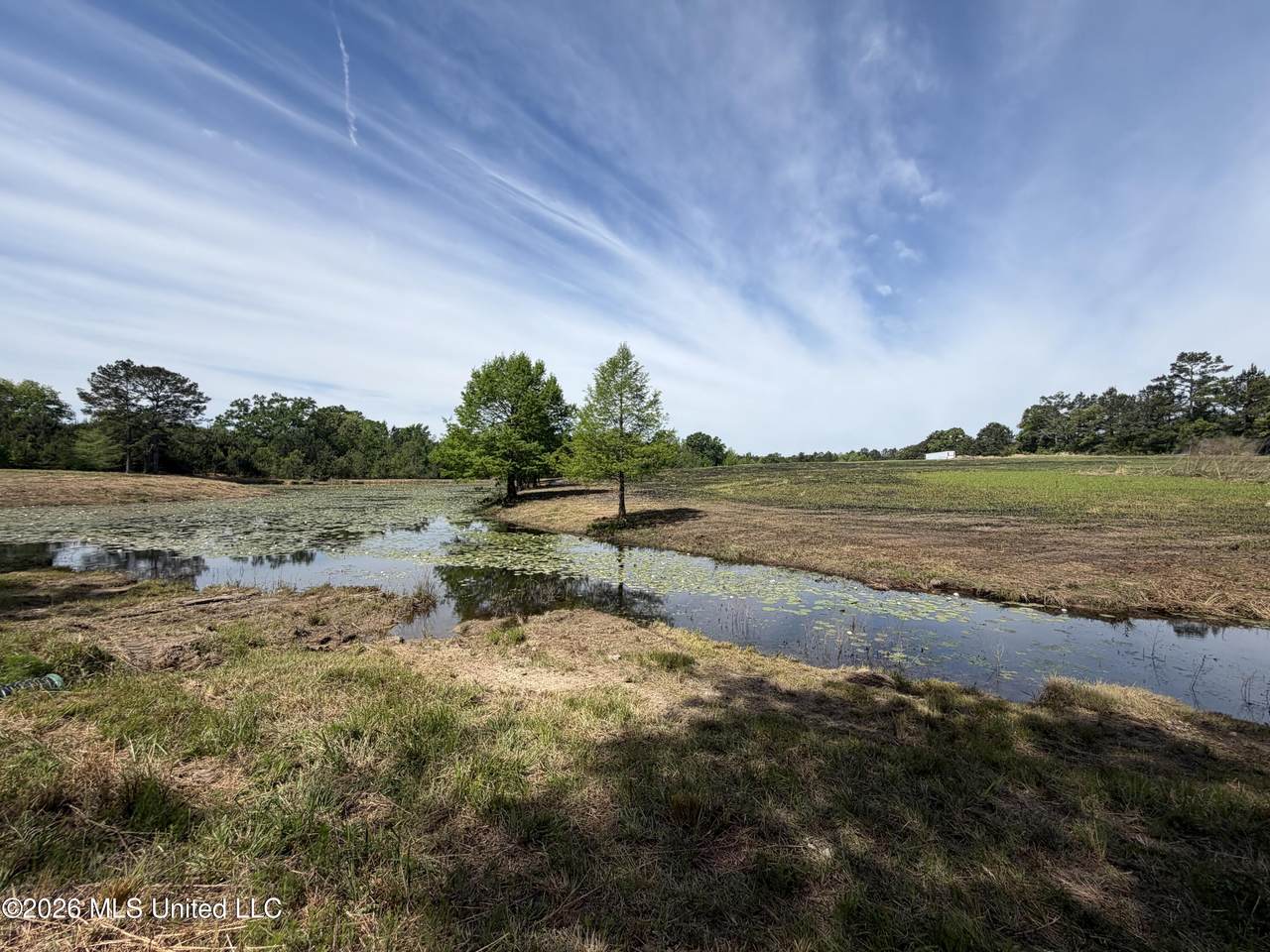 0 Neely Avera Road - Photo 1