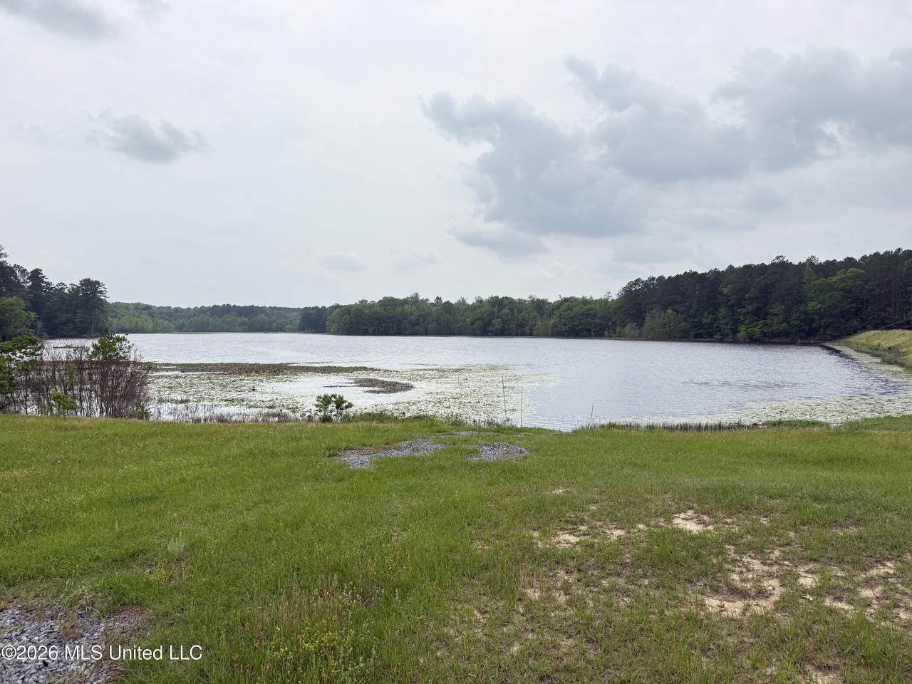 000 Furrs Mill Dr Ne Drive - Photo 1