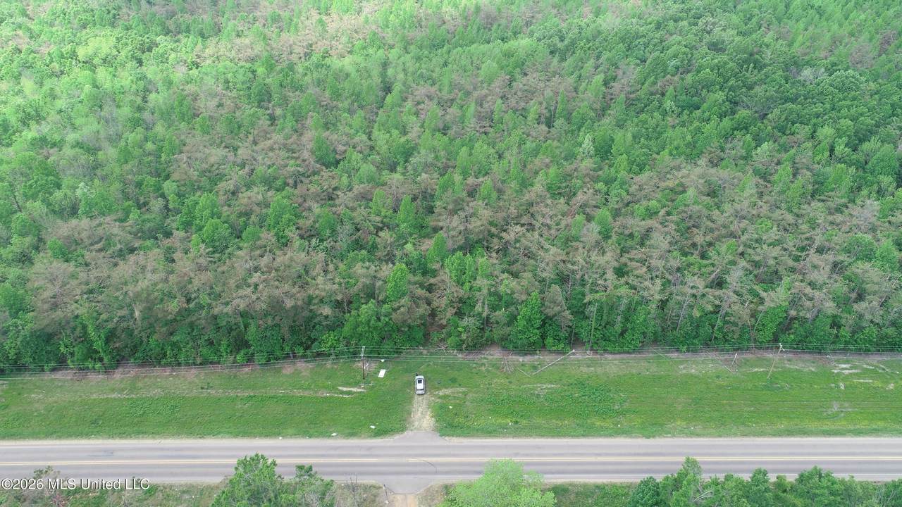  Highway 7 - Photo 1
