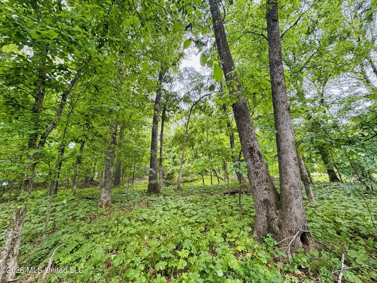 https://bt-photos.global.ssl.fastly.net/united/1280_boomver_1_4148408-2.jpg