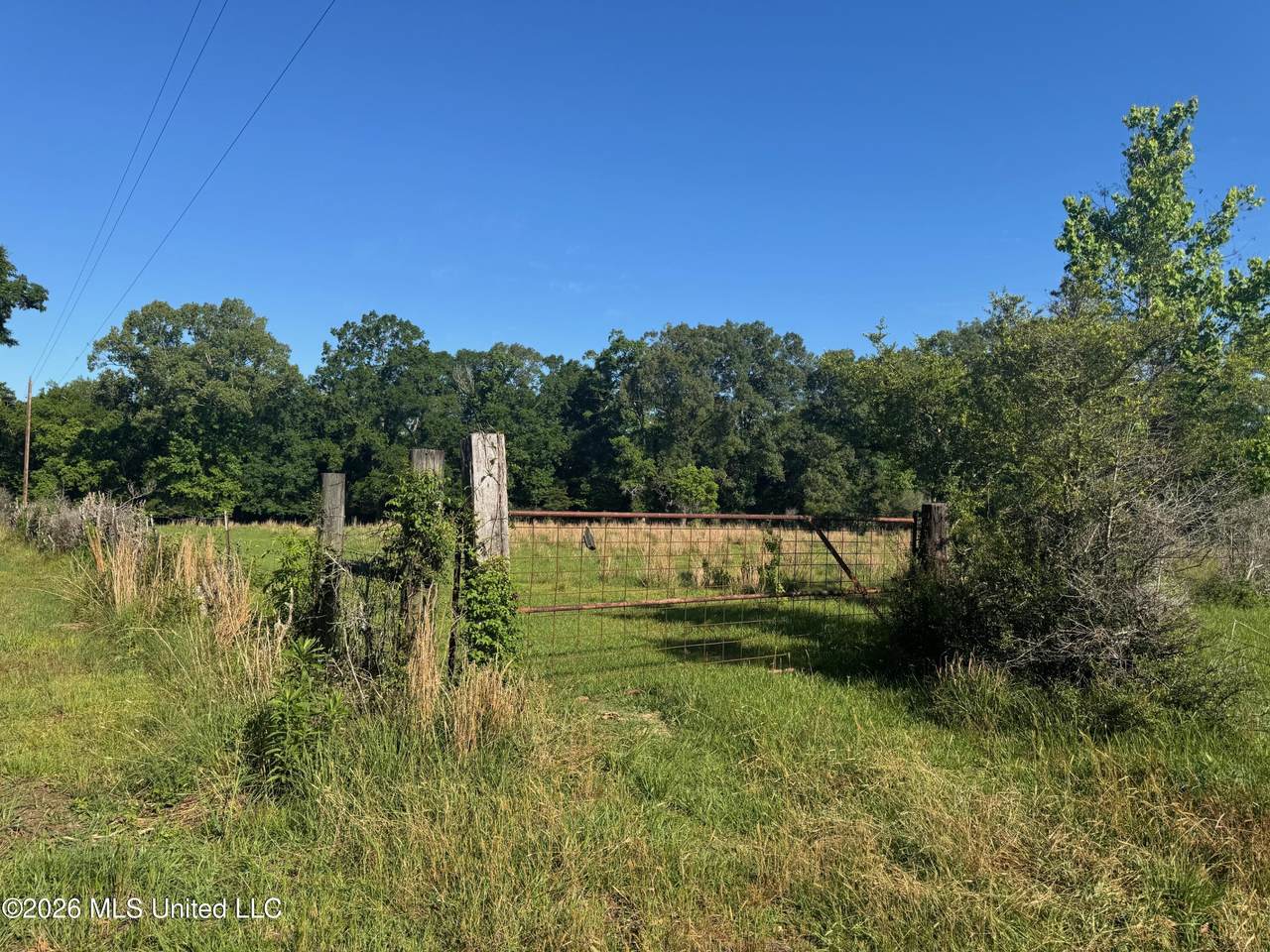 260 Mitchell Chapel Road - Photo 1