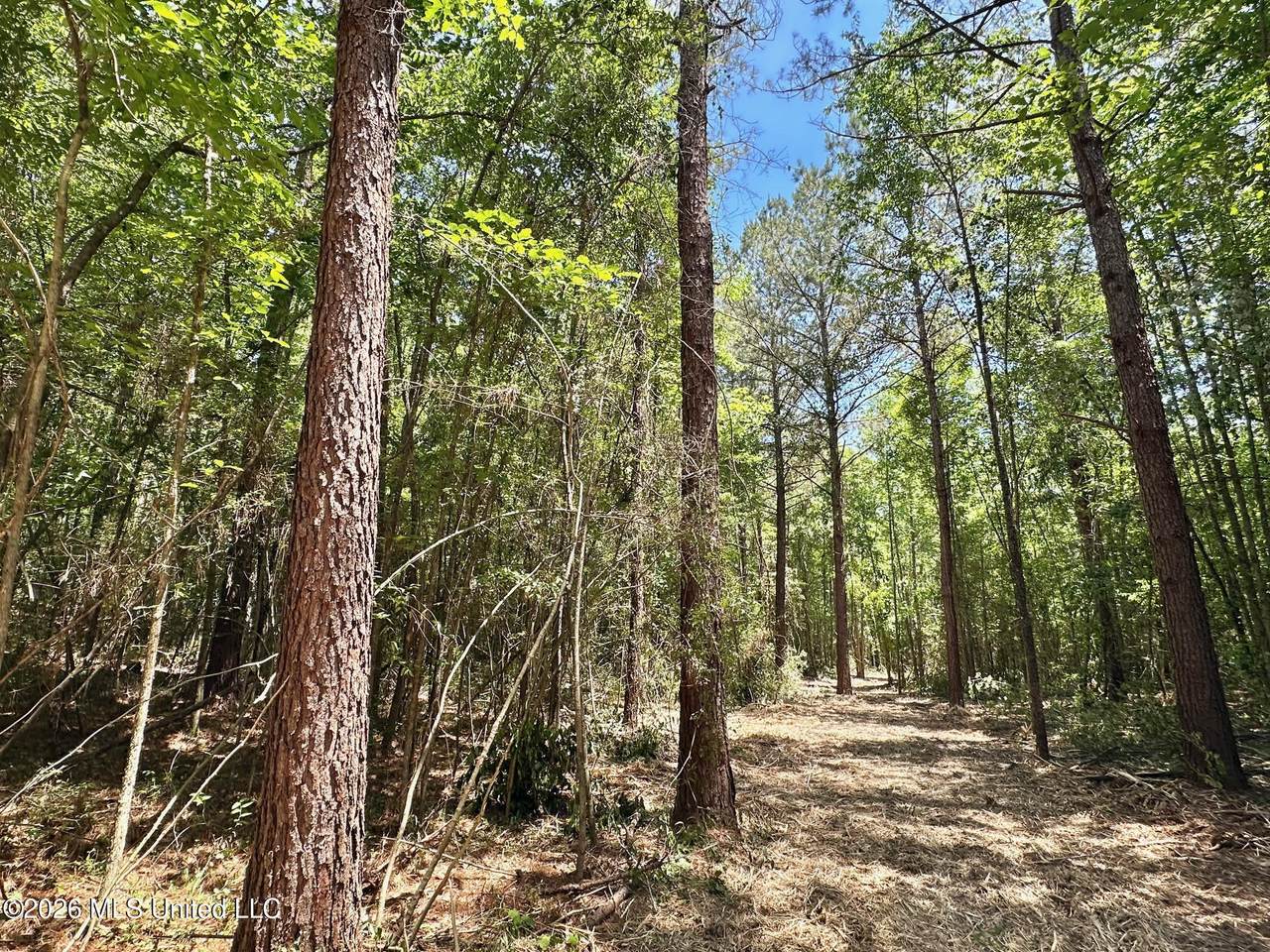 0 Mcnair Springs Road - Photo 1