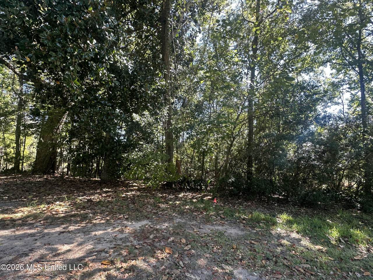  Baywood Drive - Photo 1