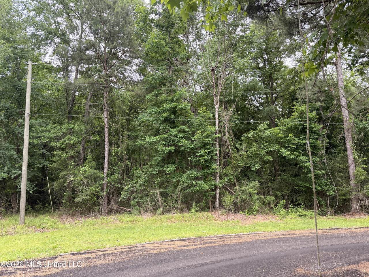  Claudette Ln - Photo 1