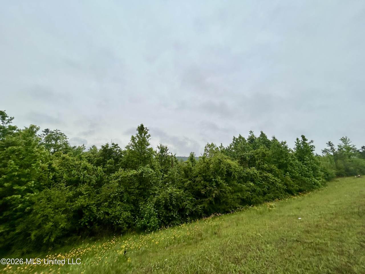  Ferguson Mill Road - Photo 1