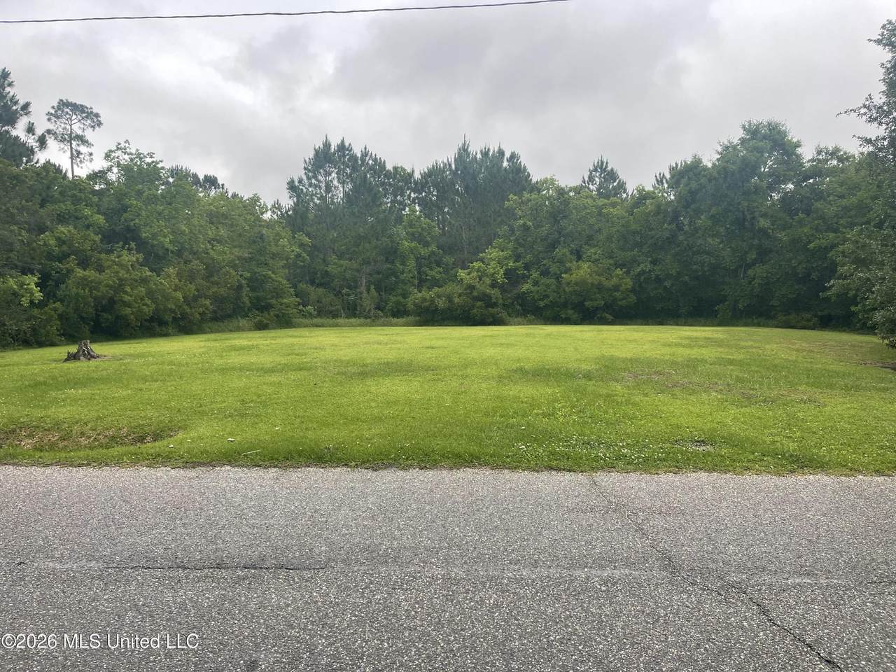 370 Clark Avenue - Photo 1