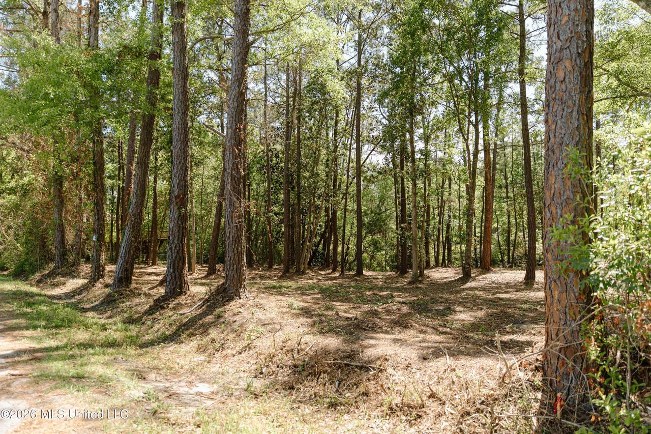  Honduras Drive - Photo 1