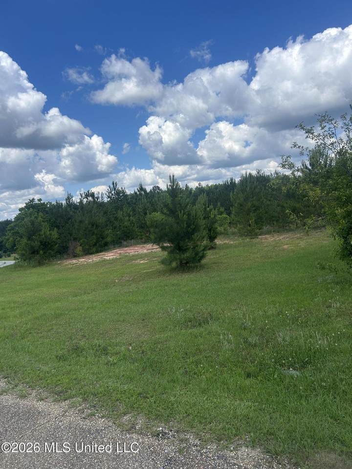 52 Joe Traylor Road - Photo 1