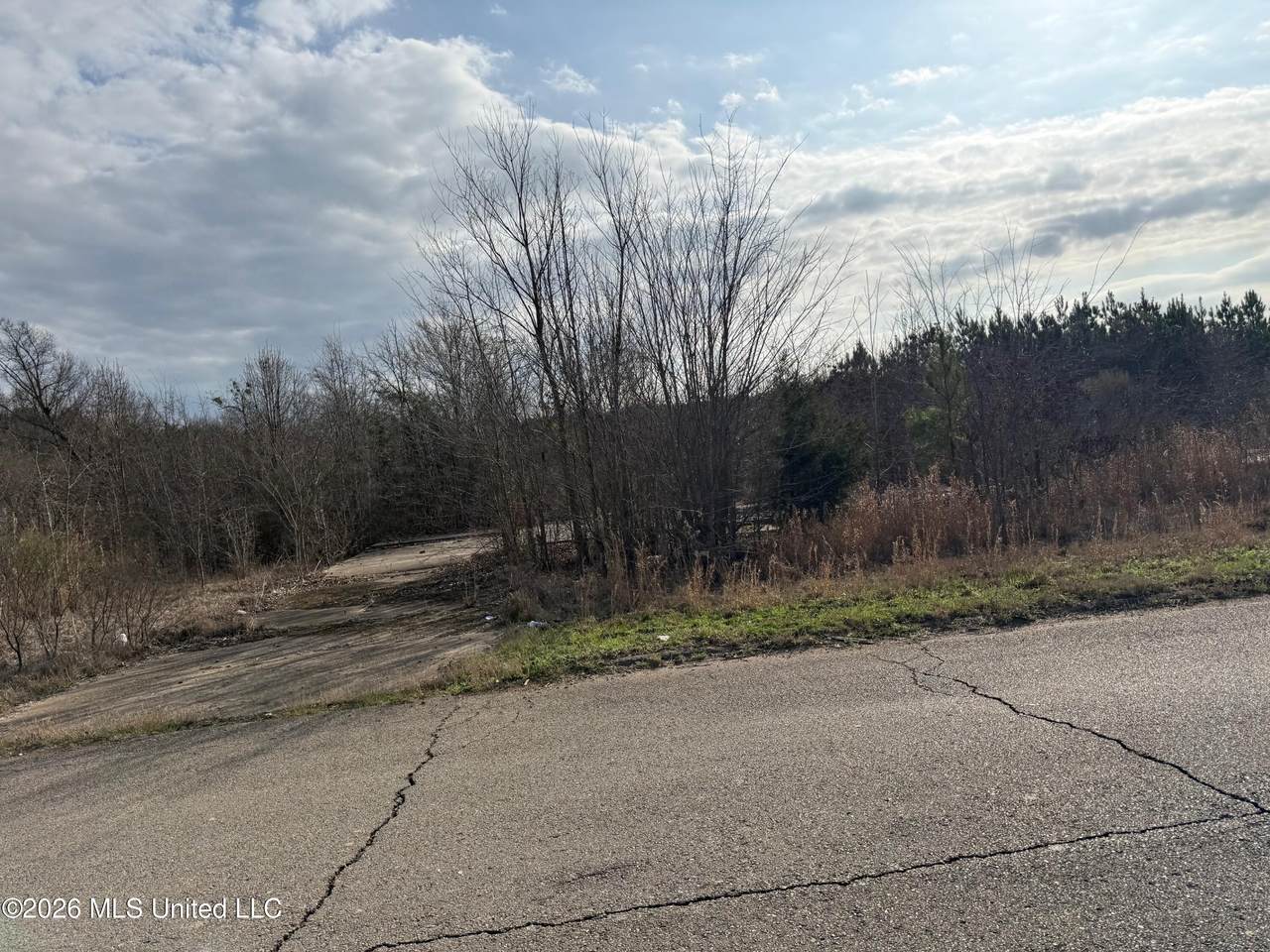  Eiland Avenue - Photo 1