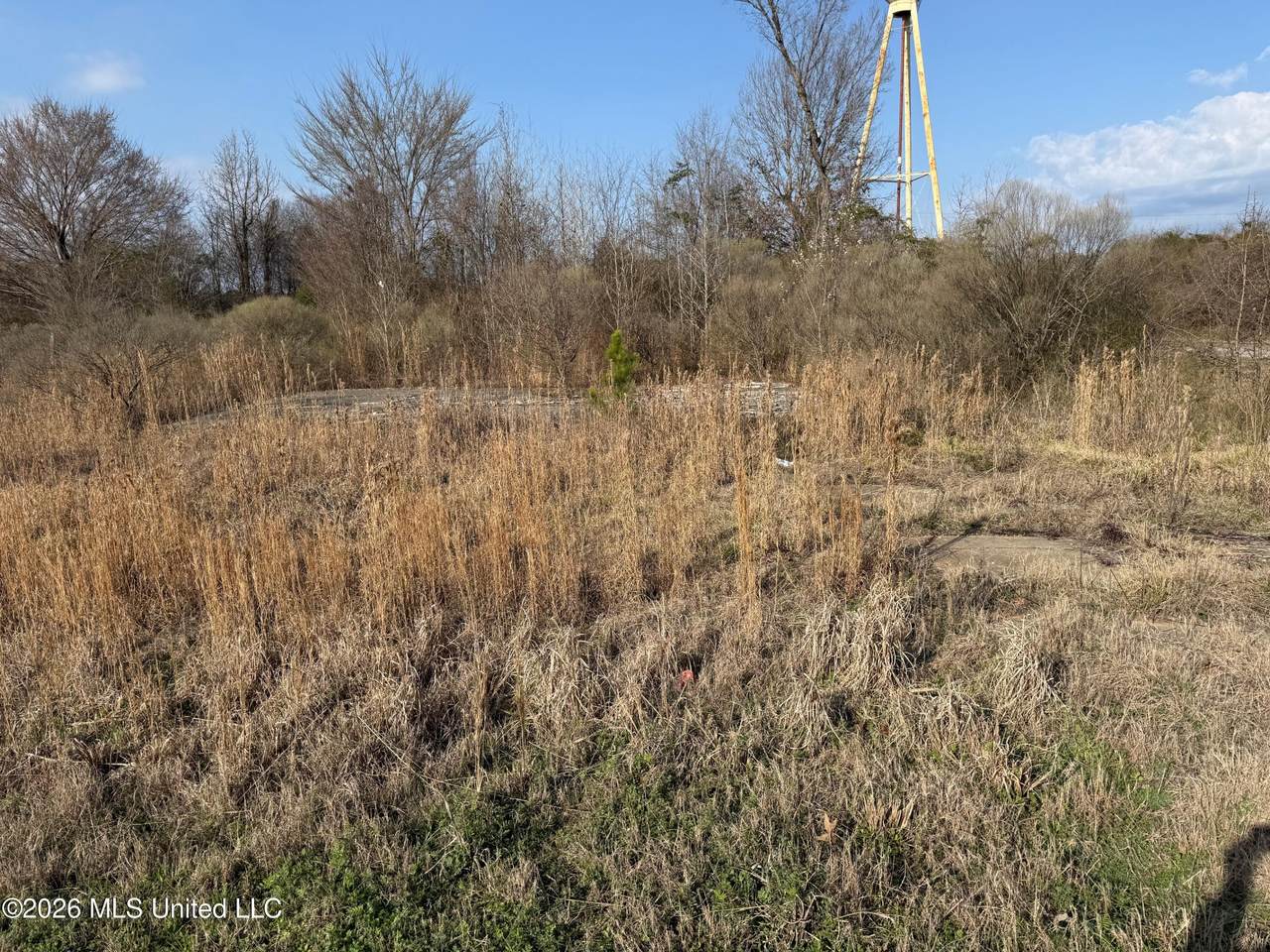  Eiland Avenue - Photo 1