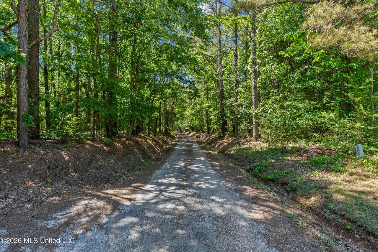 202 Powell Chapel Road - Photo 1