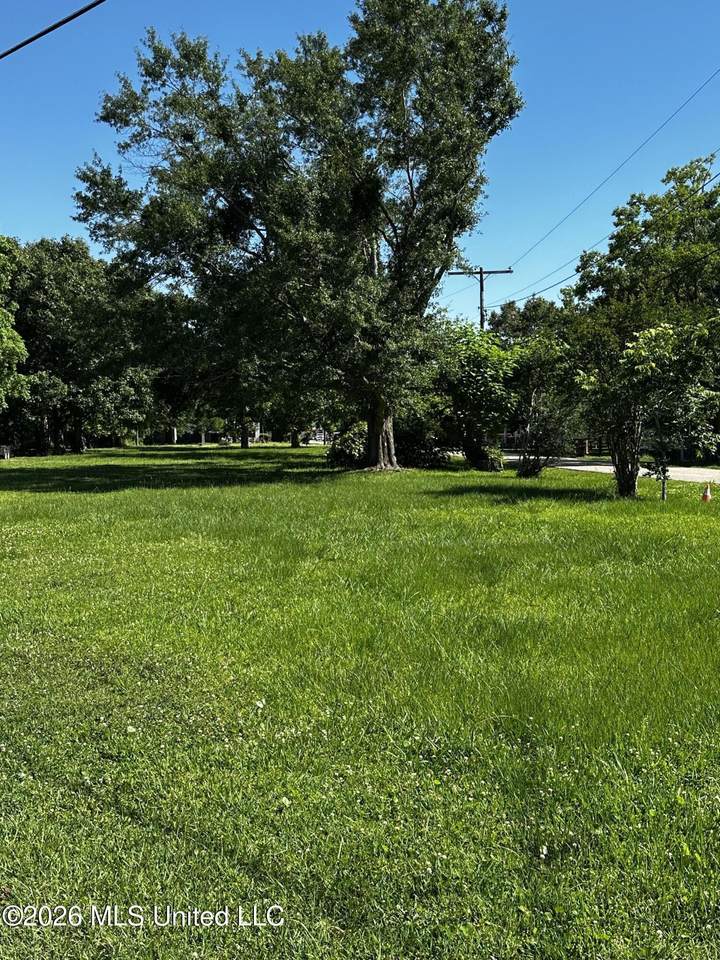 3298 Race Track Road - Photo 1