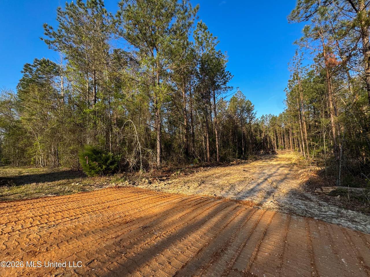  Taylor Lane - Photo 1
