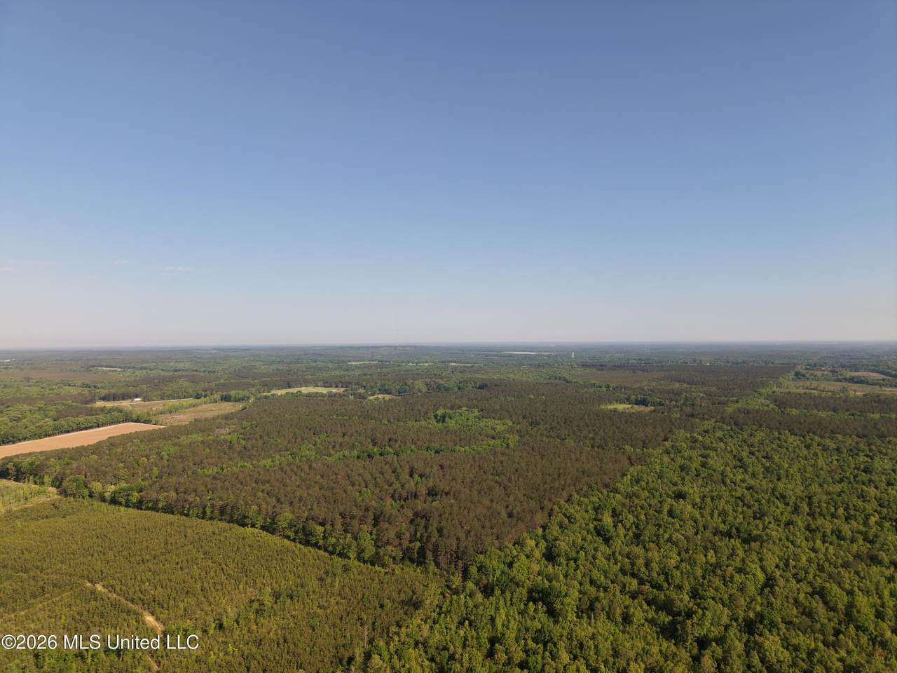  Old 46 Highway - Photo 1