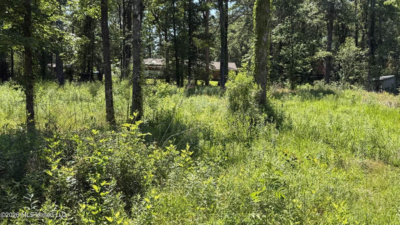 204 Dogwood Drive - Photo 1