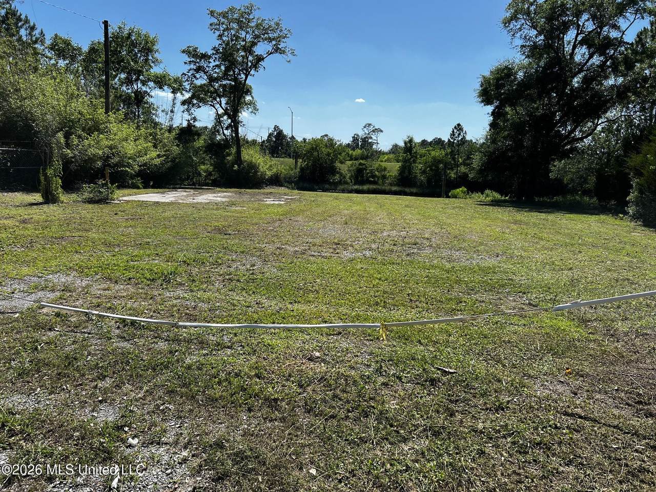 201 Livingston Drive - Photo 1