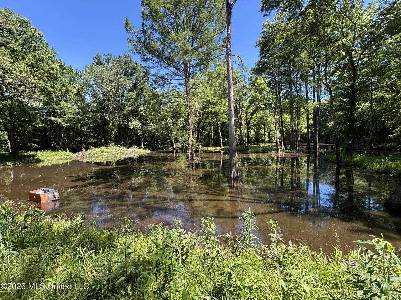 00 County Road 3102 - Photo 1