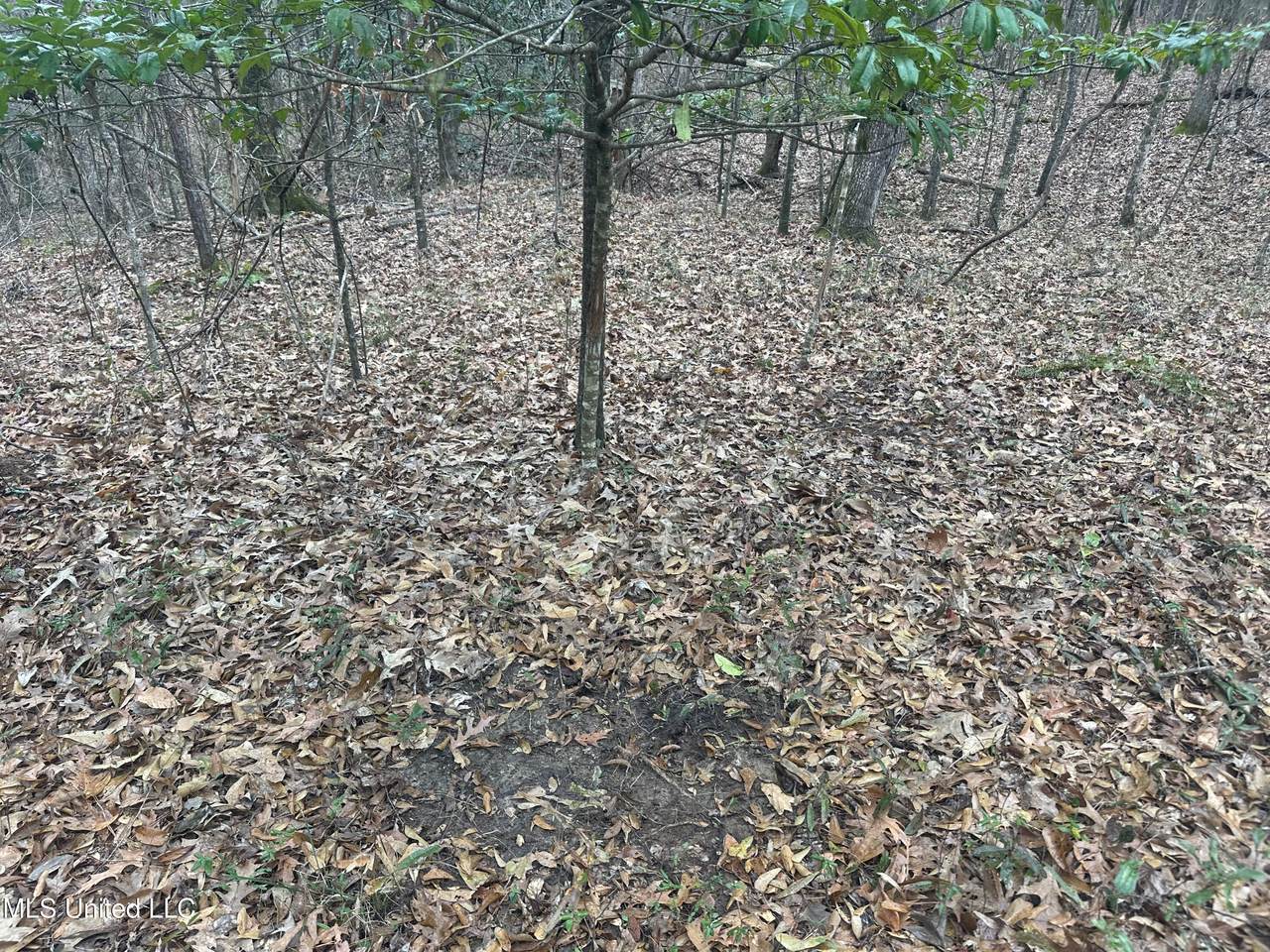 https://bt-photos.global.ssl.fastly.net/united/1280_boomver_1_4149683-2.jpg