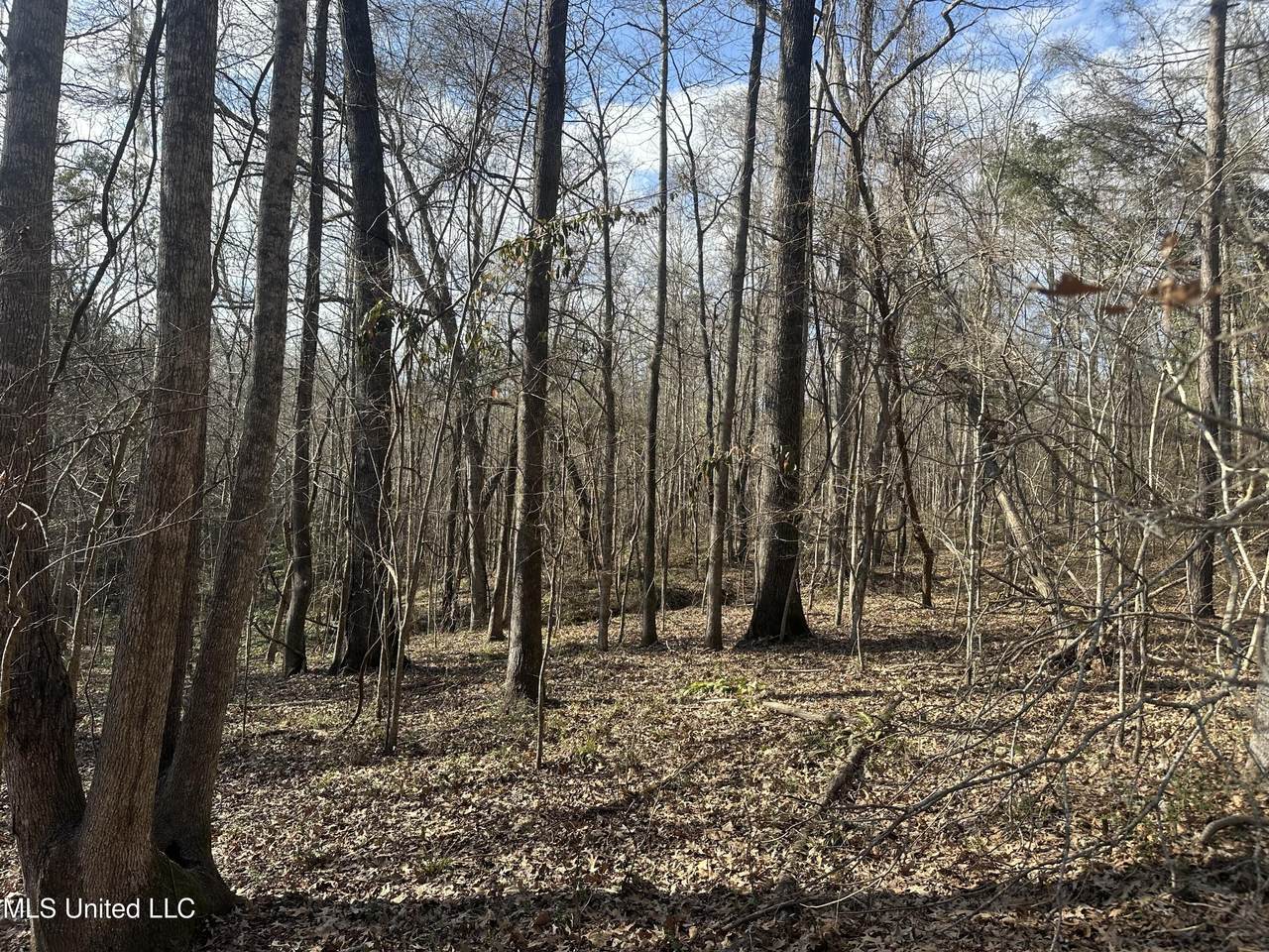  Dunbar Road - Photo 1