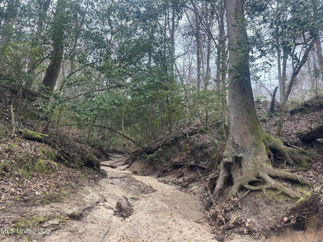 https://bt-photos.global.ssl.fastly.net/united/1280_boomver_1_4149684-2.jpg