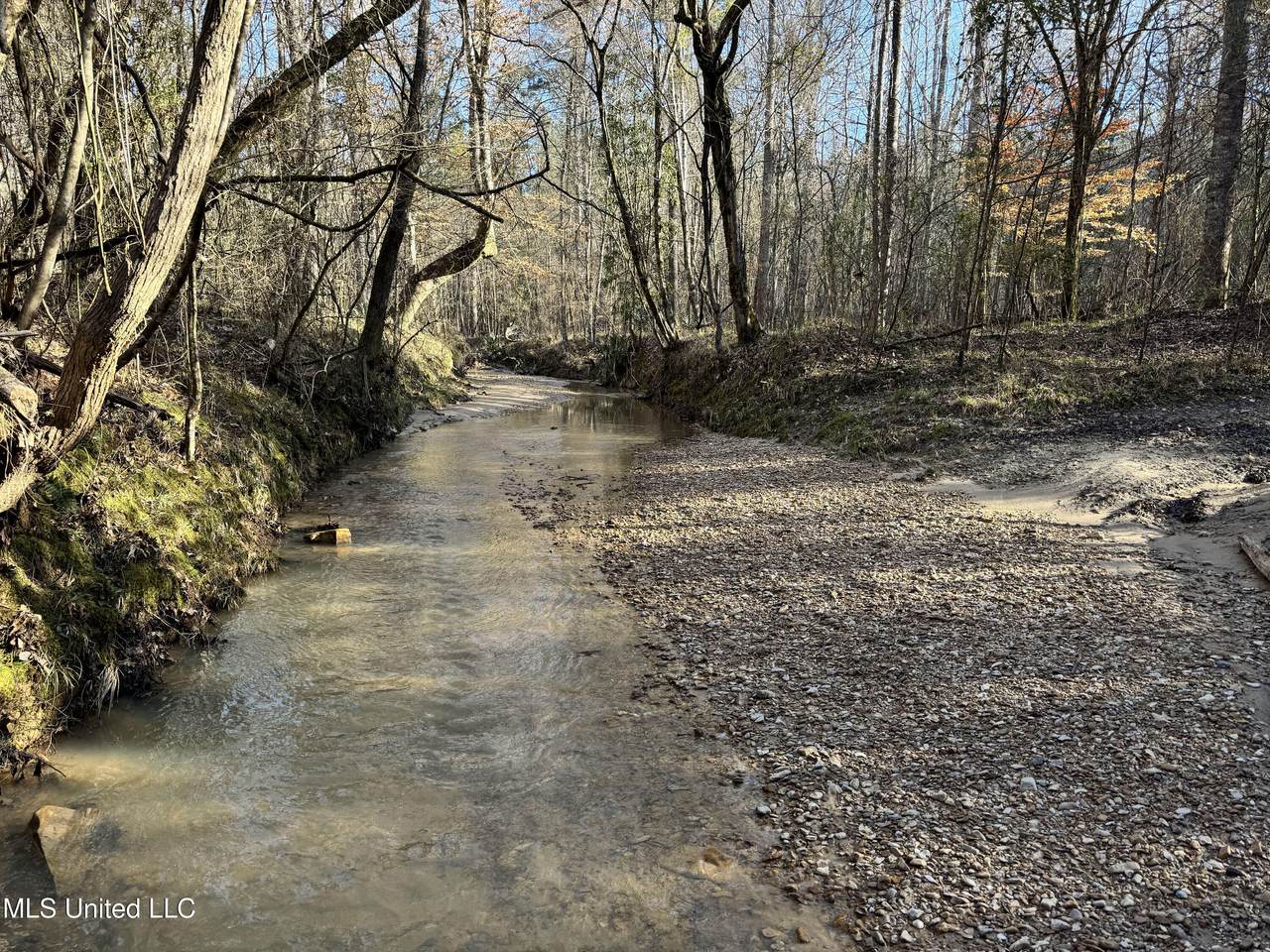  Hickory Ridge Road - Photo 1