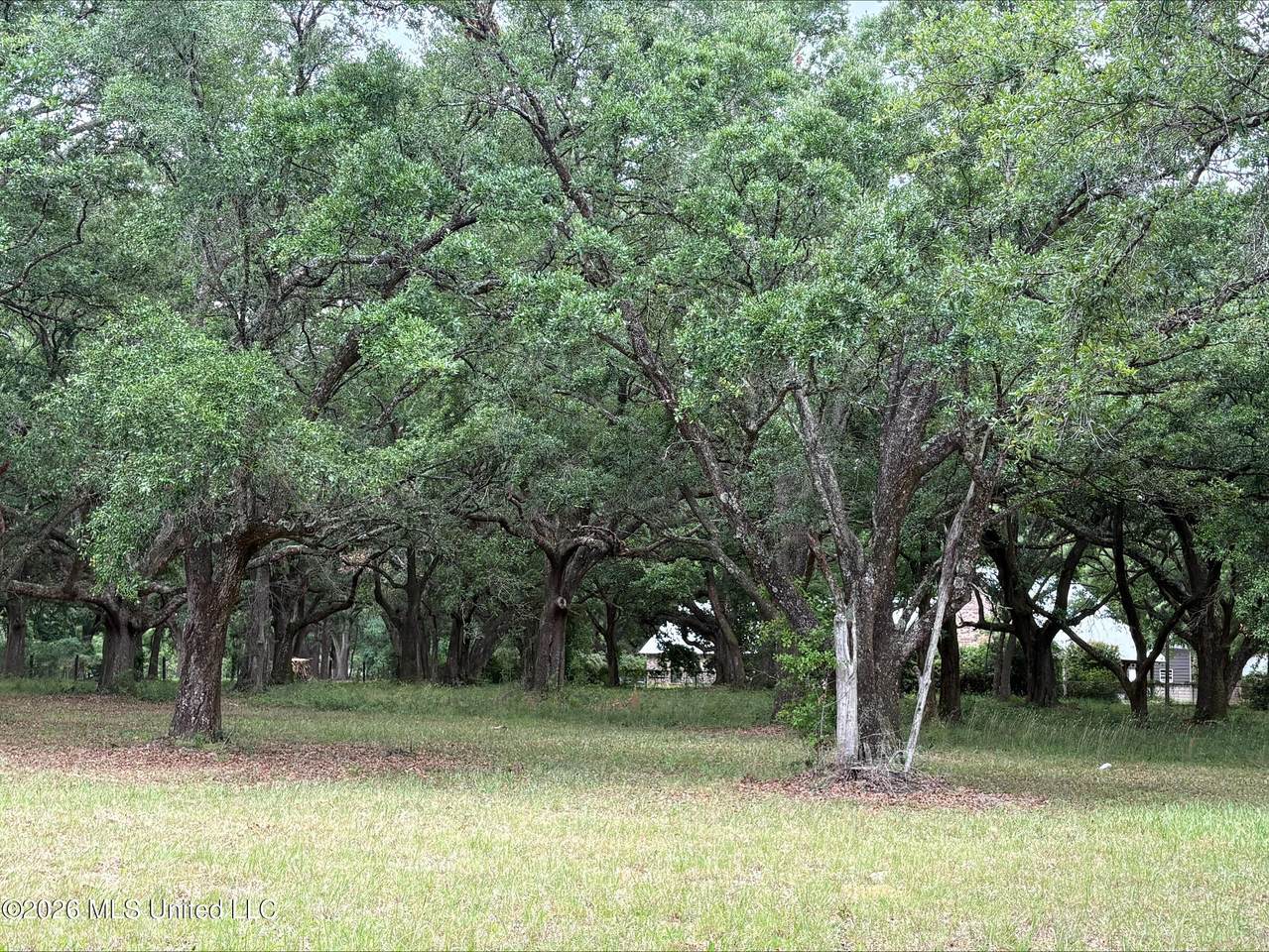 https://bt-photos.global.ssl.fastly.net/united/1280_boomver_1_4149746-2.jpg