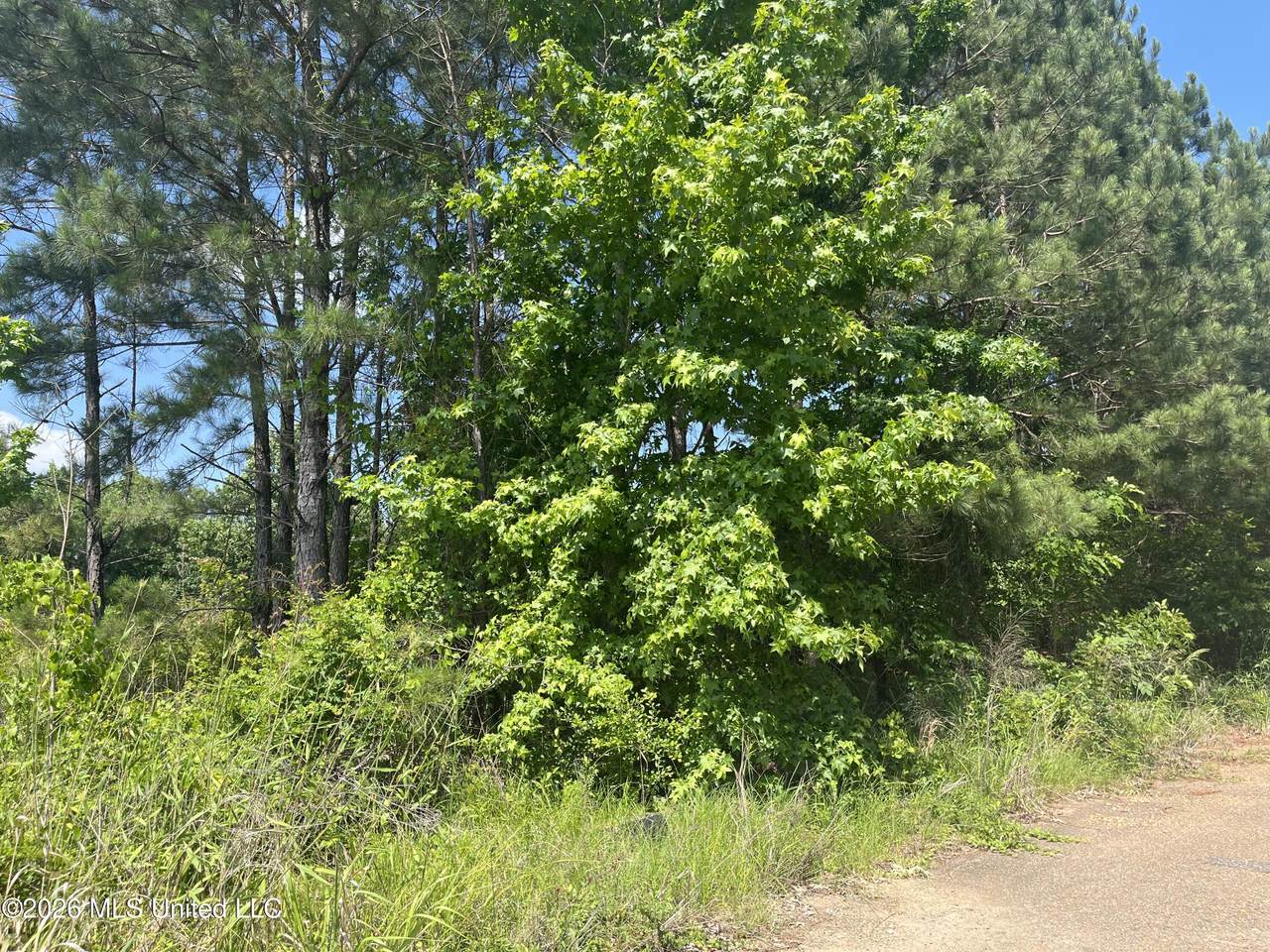 https://bt-photos.global.ssl.fastly.net/united/1280_boomver_1_4149776-2.jpg