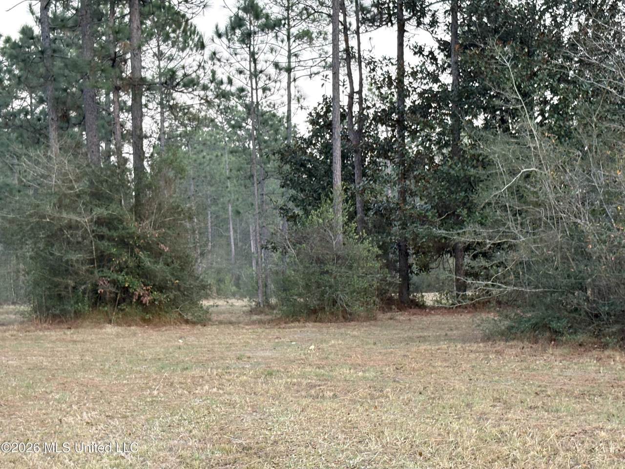https://bt-photos.global.ssl.fastly.net/united/1280_boomver_1_4149793-2.jpg